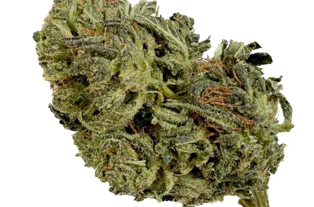 Tangie Candy THCX 30% – Green-House