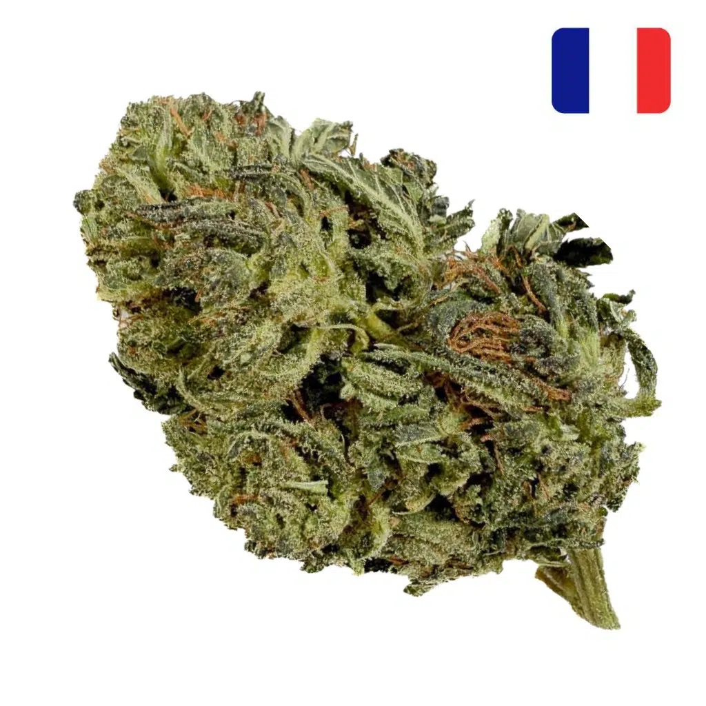 Fleur-THCX-Tangie-Candy-THCX.jpg