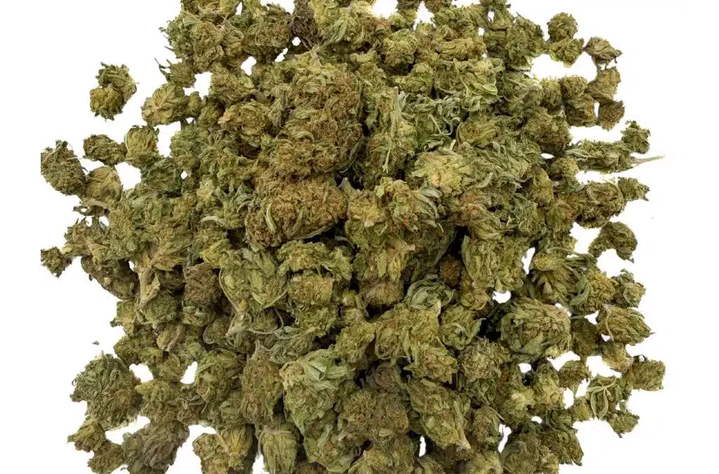 Promotion CBD Super SKUNK