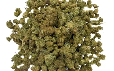 Promotion CBD Super SKUNK