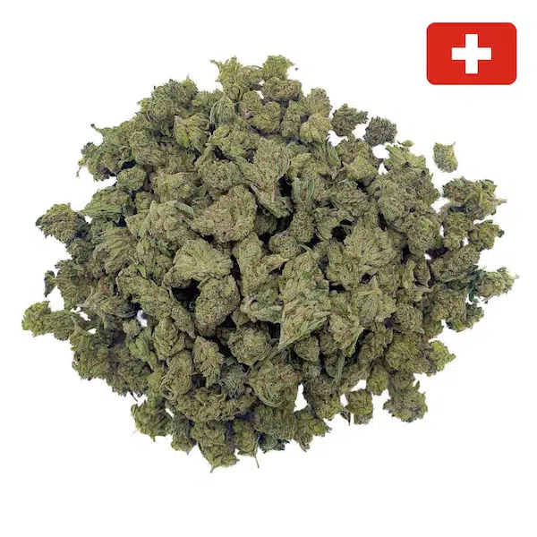 fournisseur-fleur-CBD-charlotte-angels-medium-bud-indoor.png